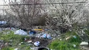 Dezastru ecologic în Sectorul 2. Sute de tone de deşeuri au fost scoase de pe malul lacului Fundeni