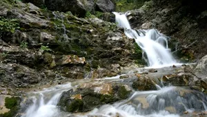 Un bărbat a murit după ce a căzut în cascada Urlătoarea din Munţii Bucegi