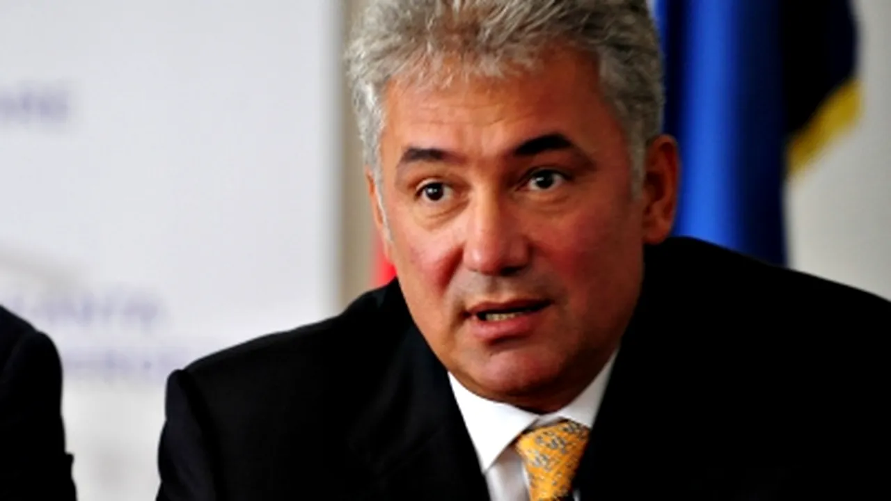 Videanu: PDL începe discuţii cu PNL, PSD şi UDMR, interimatul Guvernului Boc e o variantă