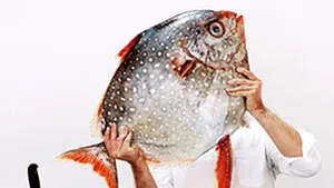 Peştele: cum îl verifici dacă este proaspăt?