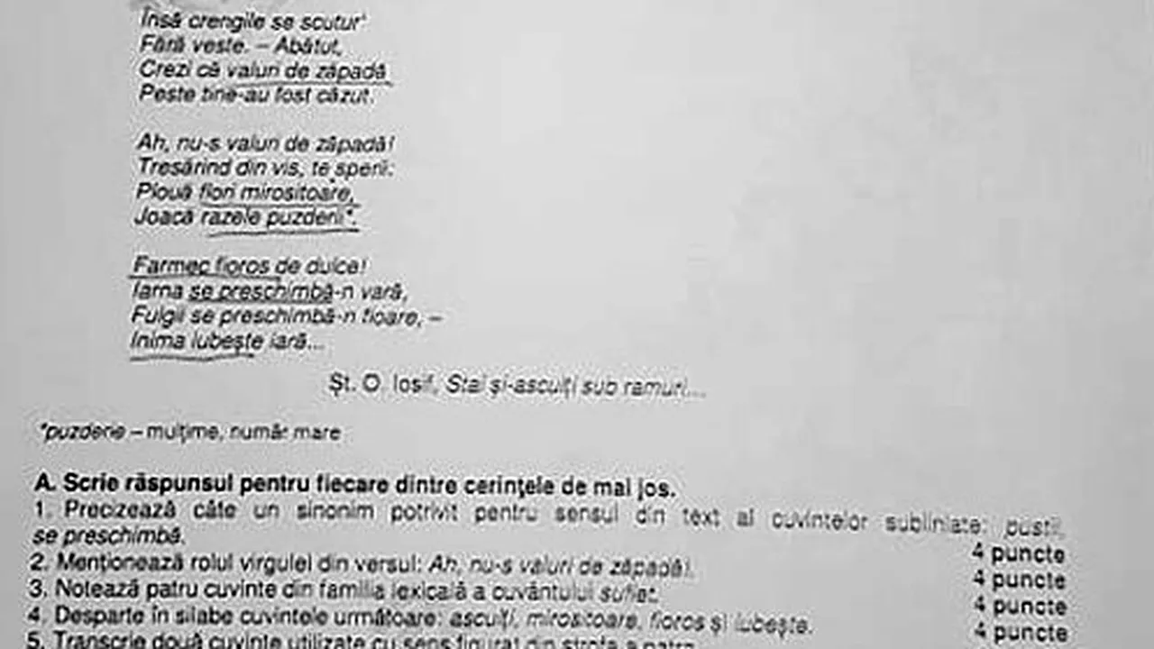 Autorii SUBIECTELOR de la simularea la limba română îşi cer scuze pentru eroarea privind autorul poeziei: Omisiunea nu afectează rezultatele