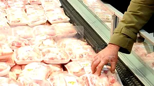 ANSVSA caută alimentele care i-au îmbolnăvit pe copiii din Argeş
