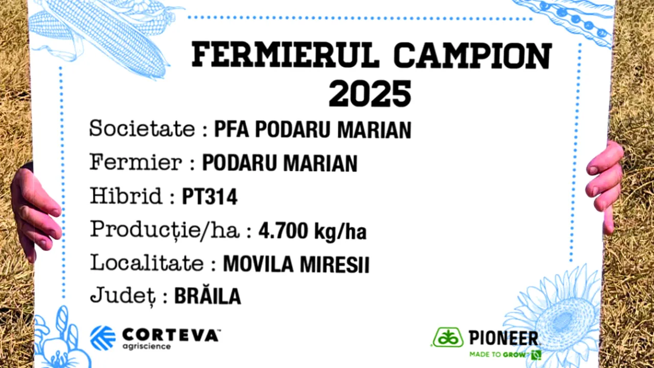 PT315 și PT314- Hibrizi campioni de rapiță în județul Brăila