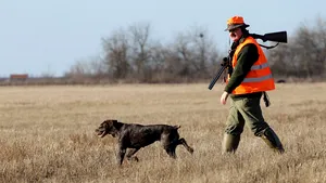 Vânătoare cu bucluc. Un bistriţean a ajuns la spital după ce a devenit prada vânatului