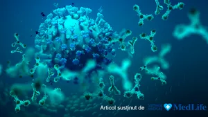 Boala COVID. Ce sunt şi cum acţionează anticorpii împotriva coronavirusului