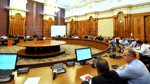 Comisiile juridice l-au validat pe Crişu Anastasiu pentru funcţia de Avocat al Poporului