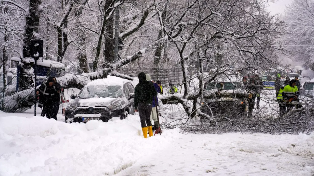 Haos în București după ninsoare: 183 de copaci rupți, zeci de mașini avariate și un microbuz blocat în zăpadă. VIDEO