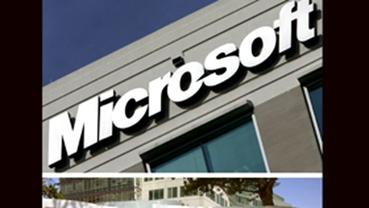 Oferta Microsoft pentru Yahoo: prea mare sau prea mică?