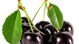 De ce sunt cireşele amare super-fructele verii. Motivele pentru care trebuie să le consumi