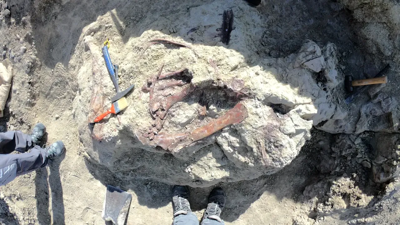 Oamenii de știință au descoperit un dinozaur din Argentina cu un os de crocodil în gură