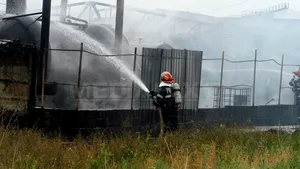 Cluj: O femeie a murit şi 120 de pisici şi câini au ars într-un incendiu la un adăpost de animale