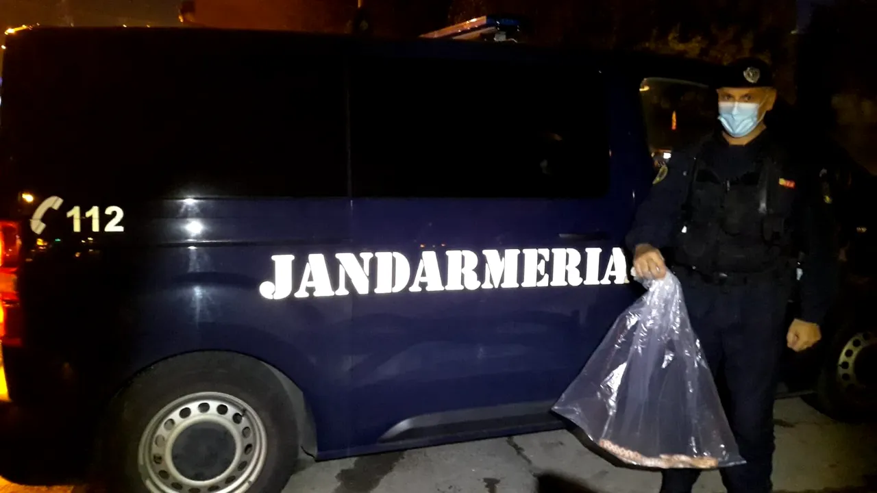 Surpriză pe casa scării: Locatarii unui bloc din Timişoara s-au trezit cu un nou „vecin”. Şarpele nu este unul autohton