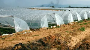 România are 7 miliarde euro fonduri europene pentru Strategia de Dezvoltare Rurală 2014-2020