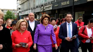 Averea Rovanei Plumb, verificată de ANI, după contradicţiile care au ajuns la Bruxelles  - surse 