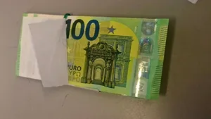 Un ucrainean care încerca să treacă granița cu 20.000 de euro s-a ales cu banii confiscați