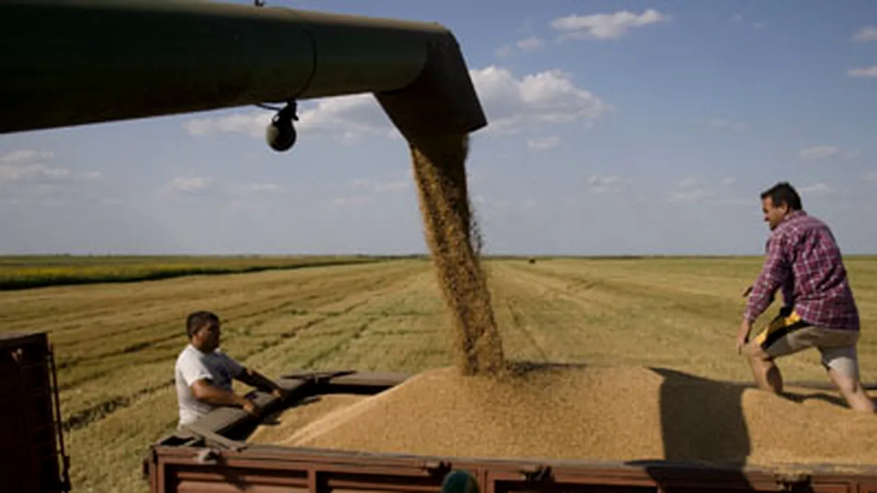 Guvernul garantează certificatele de depozit acordate agricultorilor