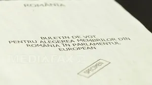 ALEGERI EUROPARLAMENTARE: Ingineri, jurişti, profesori, dar şi un impiegat, un şef de siloz, un barman, printre candidaţii români la PE