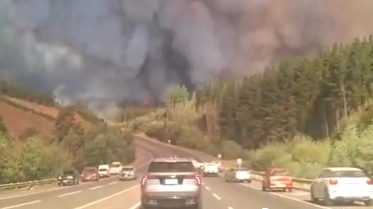 Zeci de mii de oameni fug din calea incendiilor în Chile