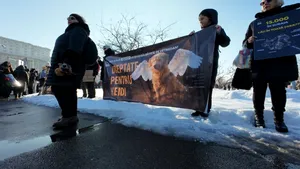 Protest la Palatul Parlamentului pentru drepturile animalelor. Peste 700 de persoane cer interzicerea eutanasierii în masă