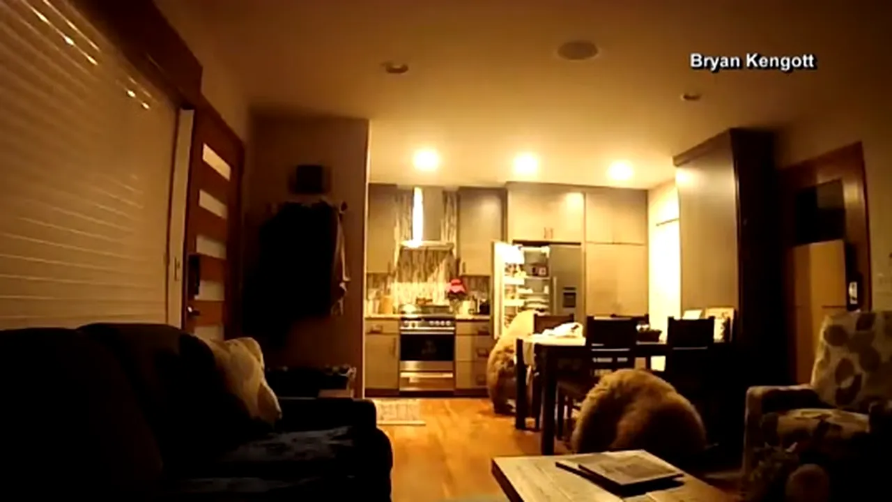 Musafiri nepoftiţi: Doi urşi au intrat într-o locuinţă şi s-au servit singuri din frigider | VIDEO