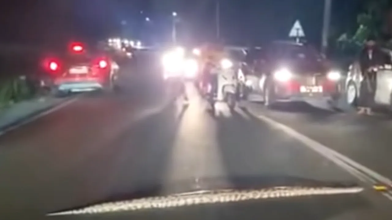 Un piton imens a oprit traficul rutier într-un oraş din India. Oamenii au reacţionat exemplar VIDEO 