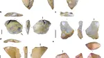 Descoperire importantă în Indonezia: Artefacte vechi de 1,5 milioane de ani, realizate de Homo Erectus