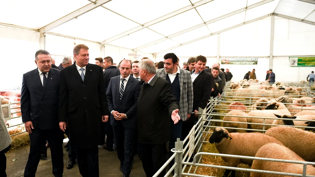 Iohannis, vizitator la târgul INDAGRA. A stat de vorbă cu fermierii şi a botezat un miel cu numele Tase - VIDEO