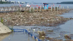 Malul Dunării de la Galaţi, PLIN de gunoaie şi cadavre de animale | FOTO