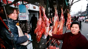 Câinii şi pisicile NU mai sunt pe lista animalelor comestibile din China