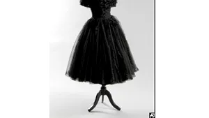 Rochii ale prinţesei Diana, vândute la licitaţie cu 1,2 milioane de dolari