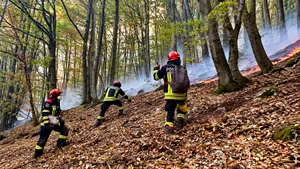 Peste 140 de oameni, mobilizați pentru incendiile din Domogled. Focul arde mocnit și se poate reaprinde