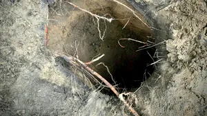 Nou tunel secret pentru migranți ilegali, descoperit în Polonia, la granița cu Belarus