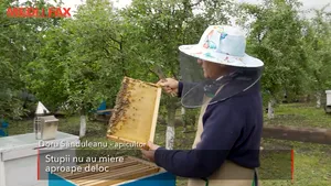 Apicultorii trag un semnal de alarmă. Vremea capricioasă a afectat producţia de miere