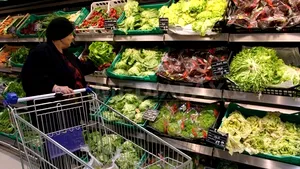 Ciolacu: Inflaţia a ajuns la o cifră. La alimente de bază preţurile au scăzut şi cu 30-40%