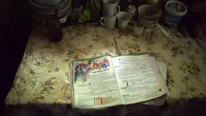 UNICEF: 300.000 de copii români nu merg la şcoală, în timp ce jumătate dintre minori trăiesc în sărăcie lucie ori la limita subzistenţei