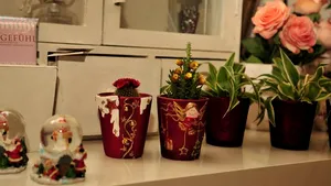 FlorideLux deschide cu 45.000 de euro prima franciză offline, în Braşov - FOTO