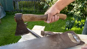 Scandal într-o localitate din Maramureş. Un bărbat a fost împuşcat în picior după ce a ameninţat poliţiştii cu un topor