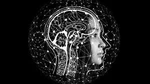 Inteligenţa artificială distinge diferenţele dintre creierul bărbaţilor şi cel al femeilor