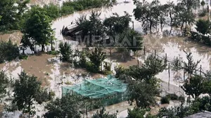 Codul portocaliu de inundaţii, prelungit până duminică după-amiază în Teleorman, Giurgiu şi Ilfov