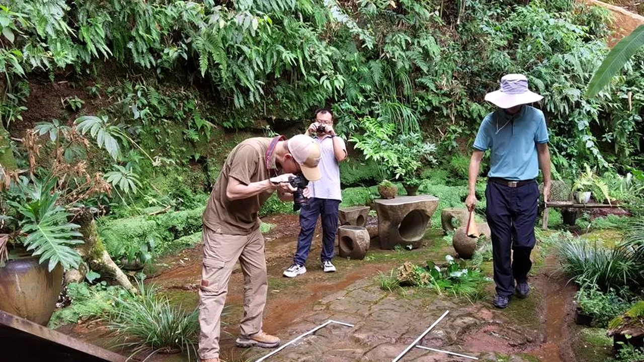 Fosilă de dinozaur extrem de bine conservată, de 200 de milioane de ani, descoperită în Brazilia