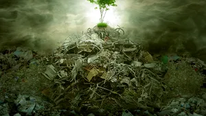 Organizaţia Mondială a Sănătăţii: Şapte milioane de oameni mor anual din cauza aerului poluat