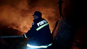 Flăcări în Munţii Lotrului. Intervenţie dificilă pentru stingerea unui incendiu puternic | VIDEO