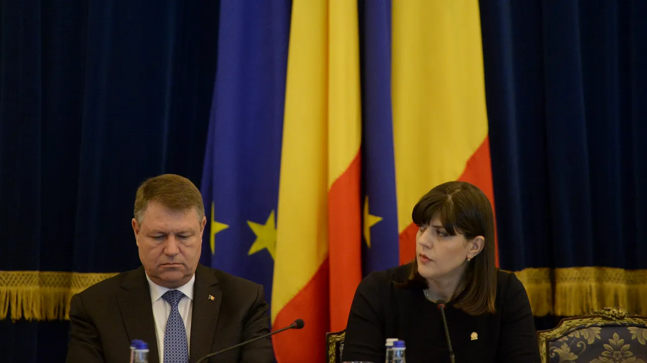 Mădălina Dobrovolschi, purtătorul de cuvânt al Preşedinţiei: Preşedintele nu are comentarii despre un 