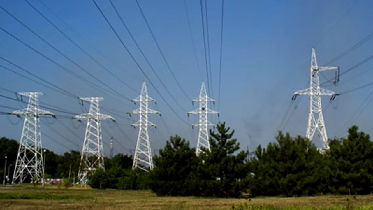 Gândul: Multinaţionalele au făcut victime în rândul „băieţilor deştepţi“ din energie