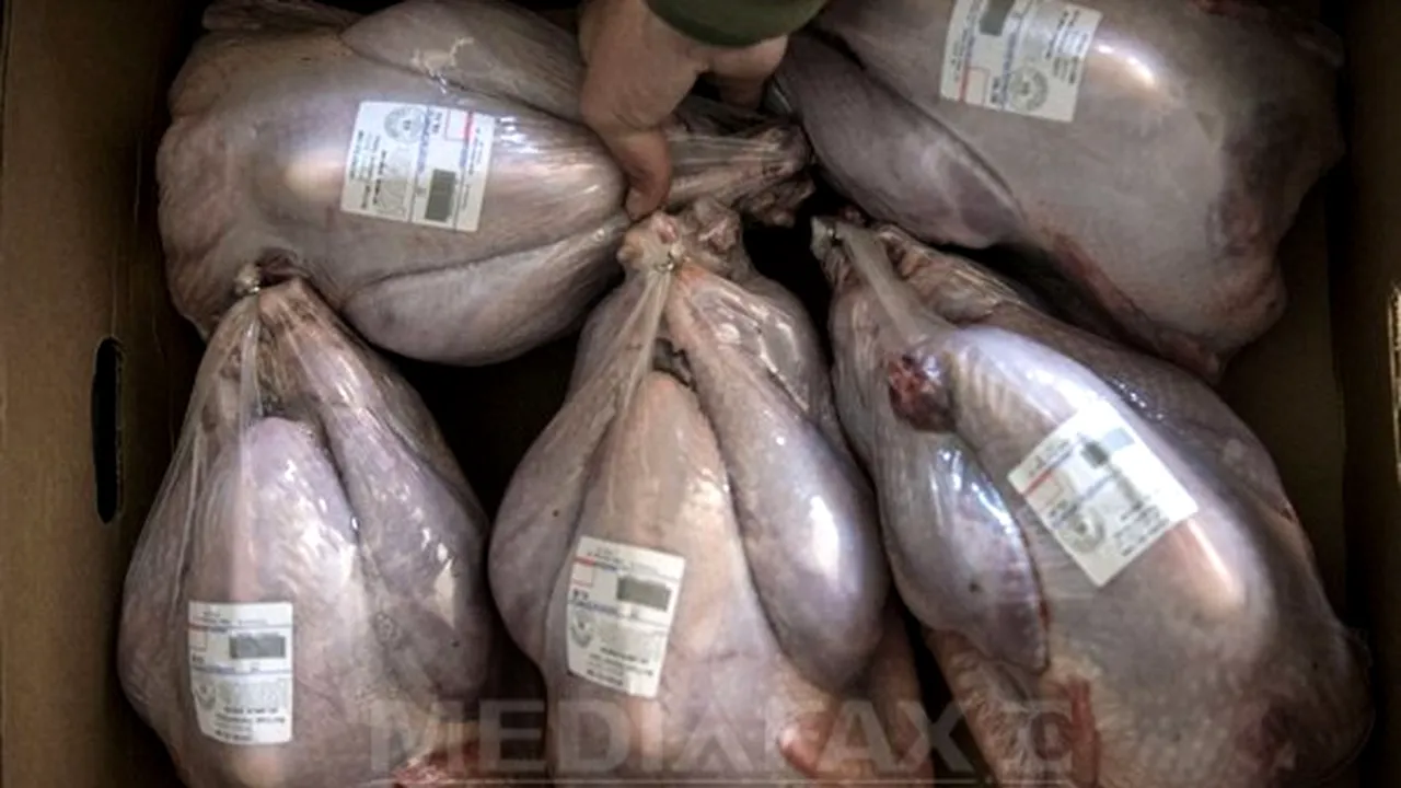 Focar uriaş de gripă aviară în SUA: peste 50 de milioane de păsări au murit
