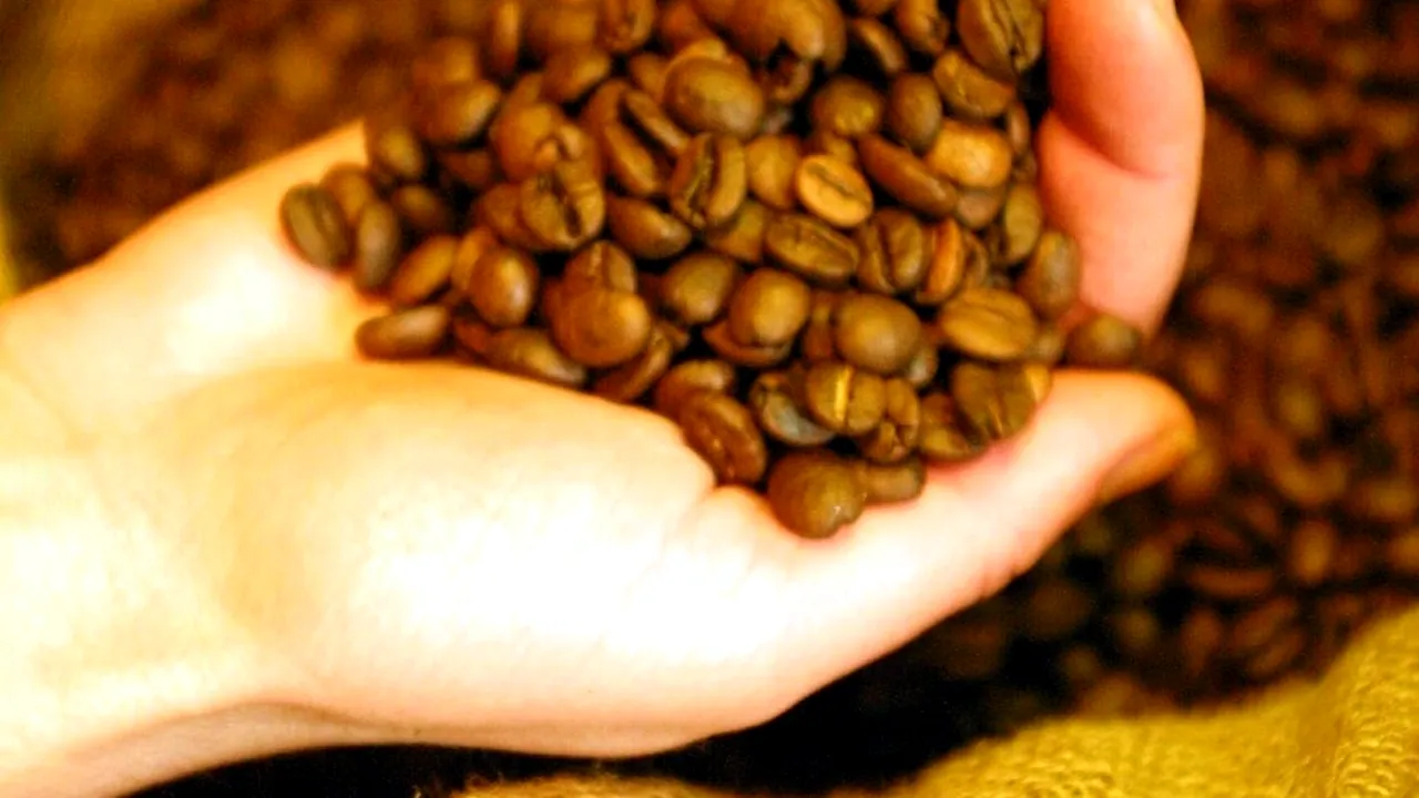 Ucraina face profit și din cafele: +75% vânzări de produse auxiliare în rețeaua energetică națională