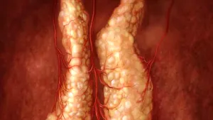 Premieră mondială: Un organ complet funcţional, creat în corpul unui animal viu