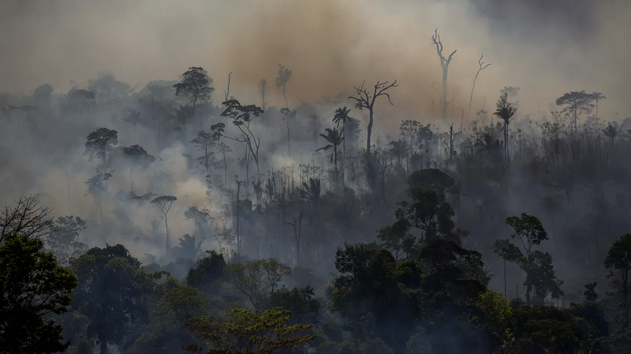 Incendiile din pădurea amazoniană au crescut în luna iulie. Specialiştii se tem că dezastrul din 2019 se va repeta