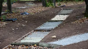 Alee pentru masaj la tălpi pe care vizitatorii se plimbă desculţi, în Parcul Dendrologic din Alba - GALERIE FOTO