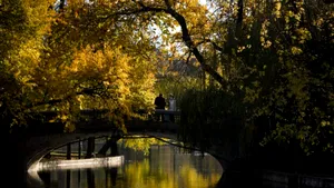 Prognoza meteo până la Revelion 2025. Cum va fi vremea între Crăciun și Anul Nou